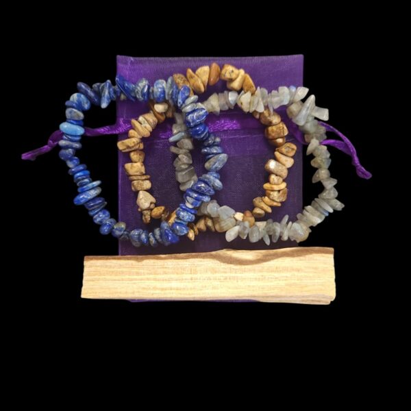 Adult Size Assorted Chip Bracelet Pack