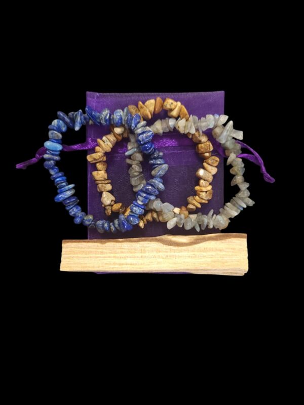Adult Size Assorted Chip Bracelet Pack